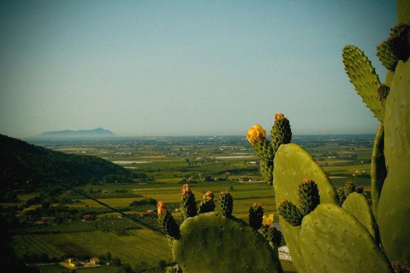 Monte Circeo dalla via Sermonetana.jpg